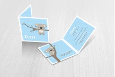 Lieve koalabeer Lieve koalabeer